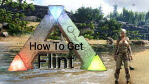 Ark Survival Flint