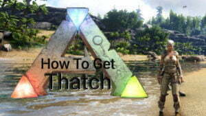 Ark Survival Thatch