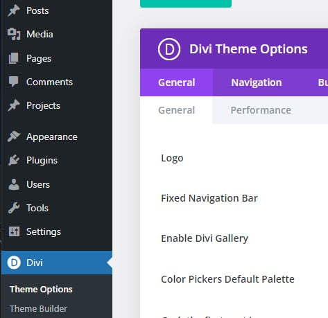 How To Enable Divi Performance Features 1 Divi theme options
