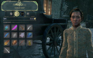 Indira Wolff Vendor Hogwarts Legacy