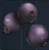 What to seed in Crop Plot In Ark Survival Evolved 4 Majoberry