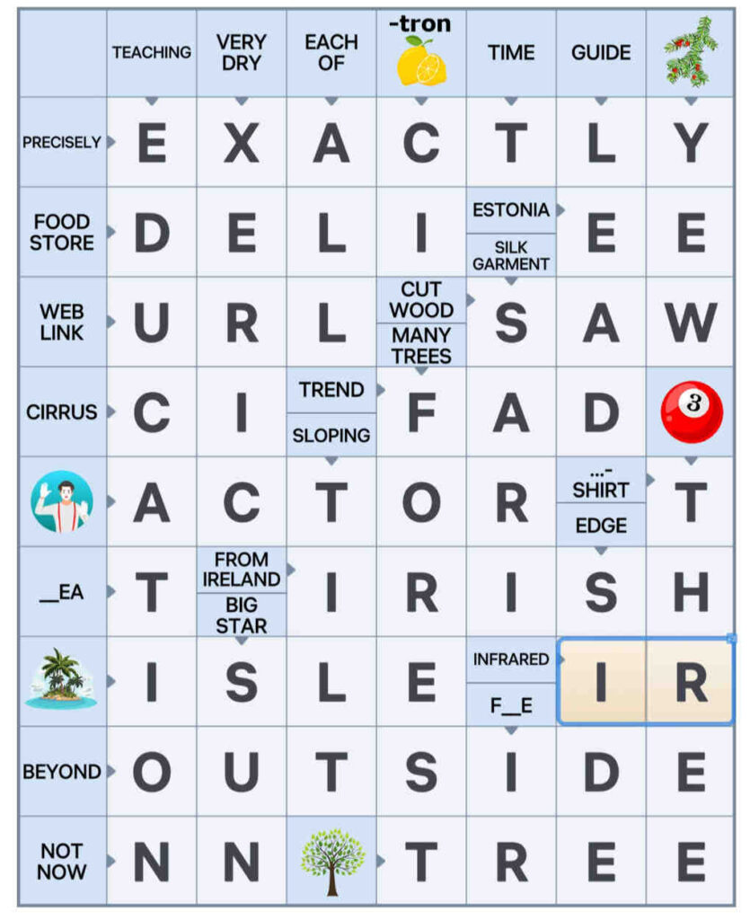 Puzzle 6